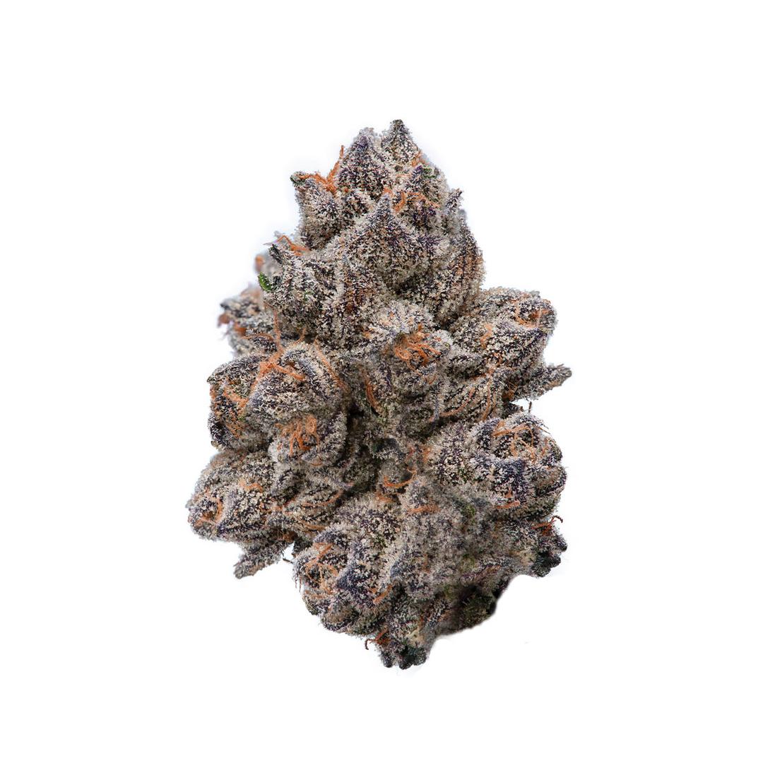 MGF Balanced UpxBun