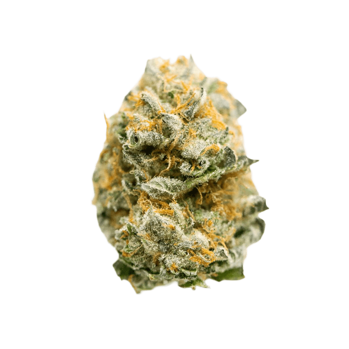 MGF Pop up No.1 / 22