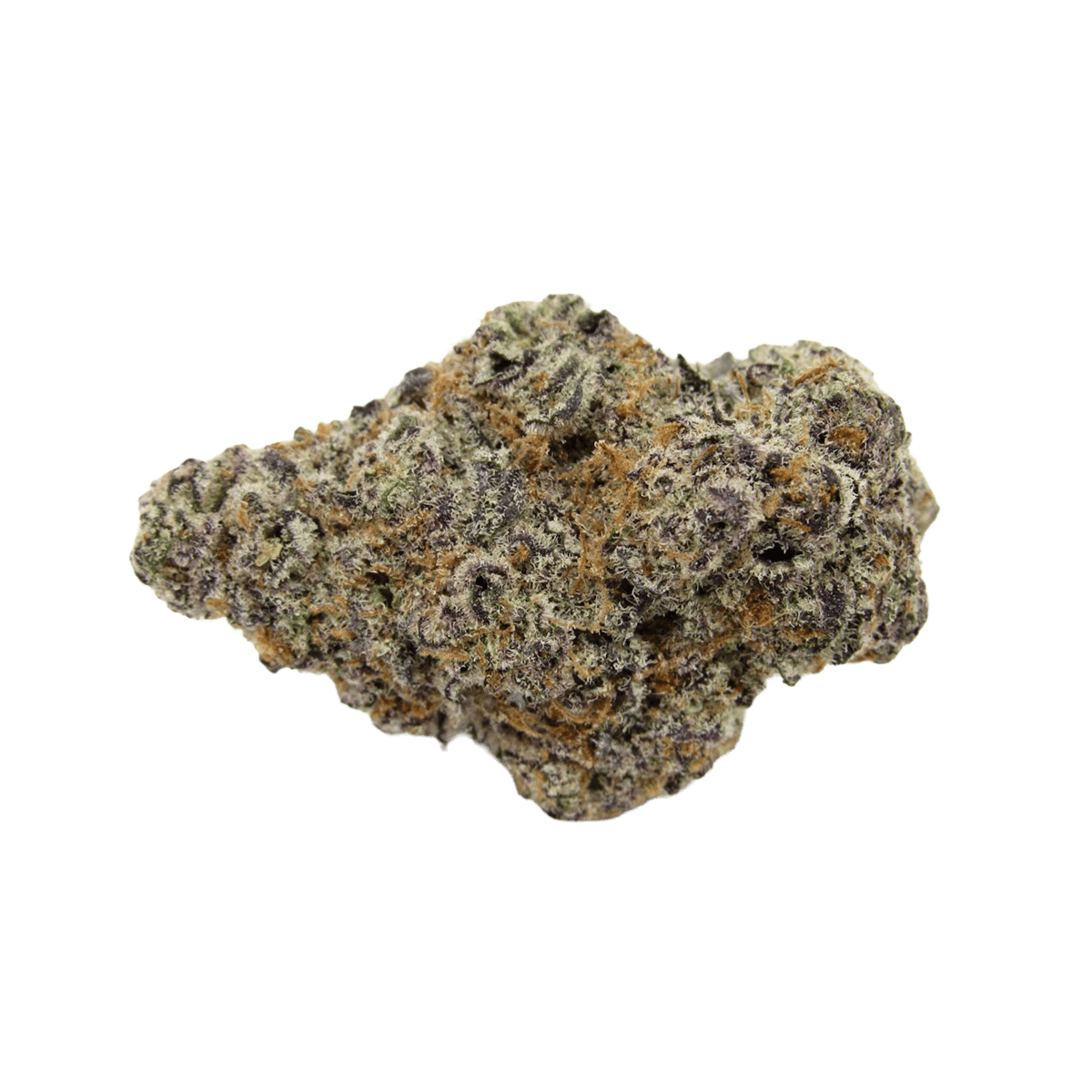 MGF Pop up No.18 / 25