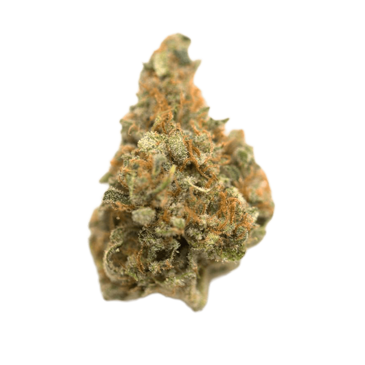 MGF Pop up No.3 / 26