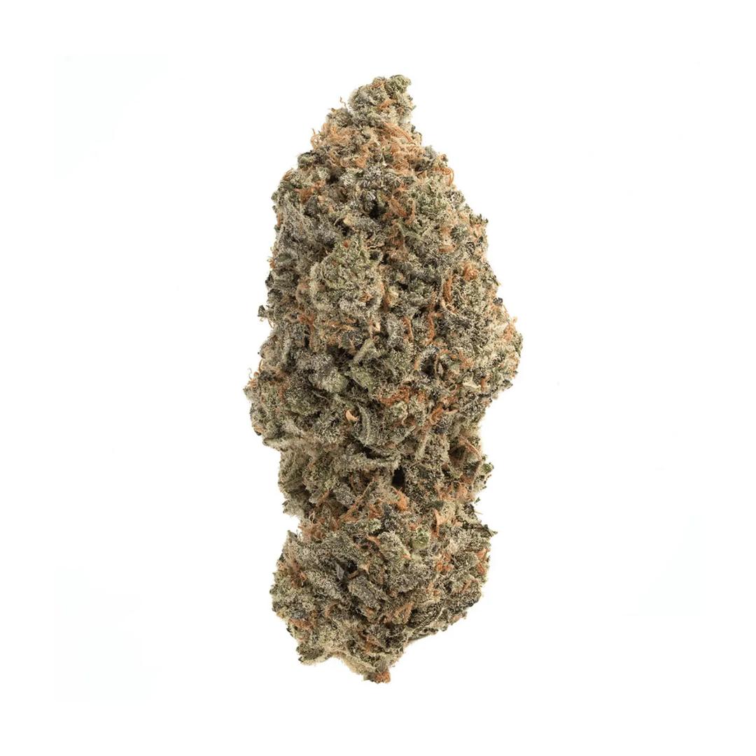 MV RBP Rainbow Pie