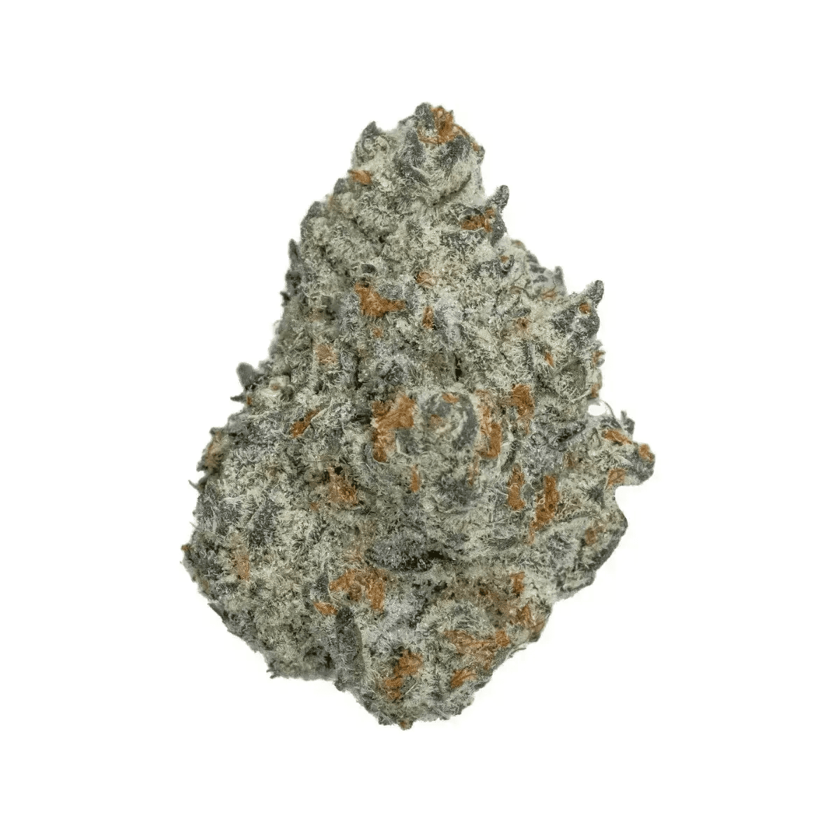 Medical Saints 18/1 ICC Ice Cream Cake