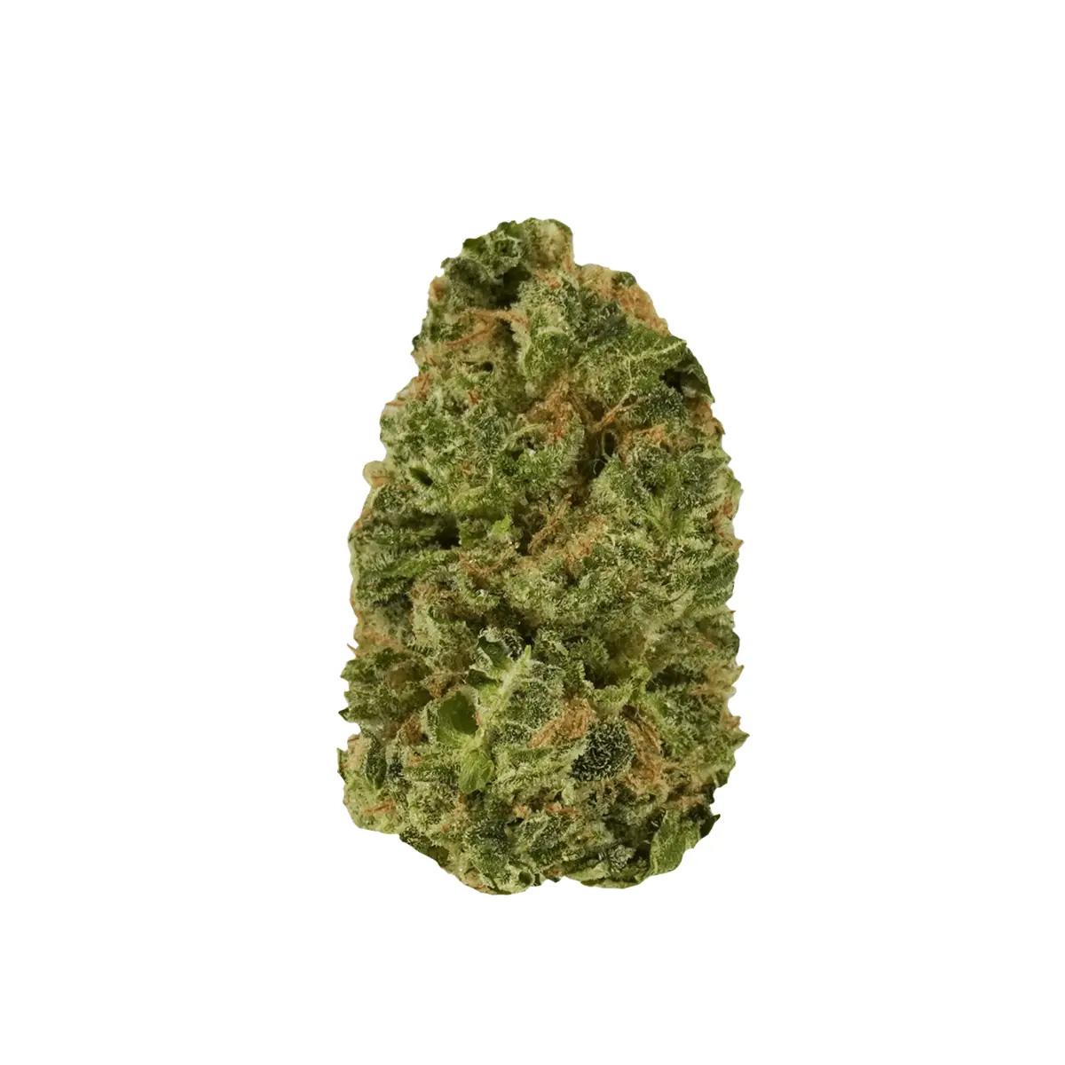 Medicus 27/1 EZA DSD 