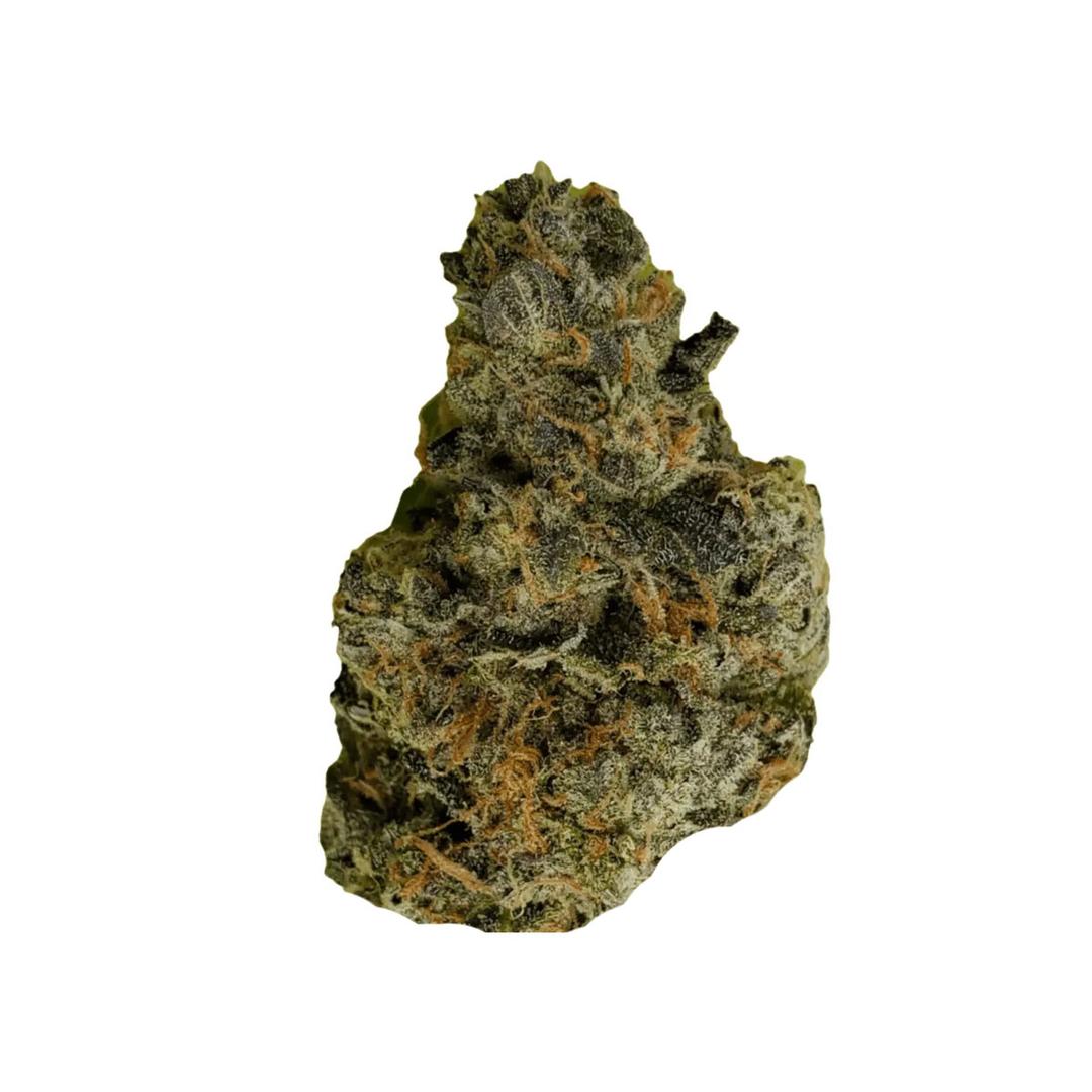 Mother 28 B8 CAN