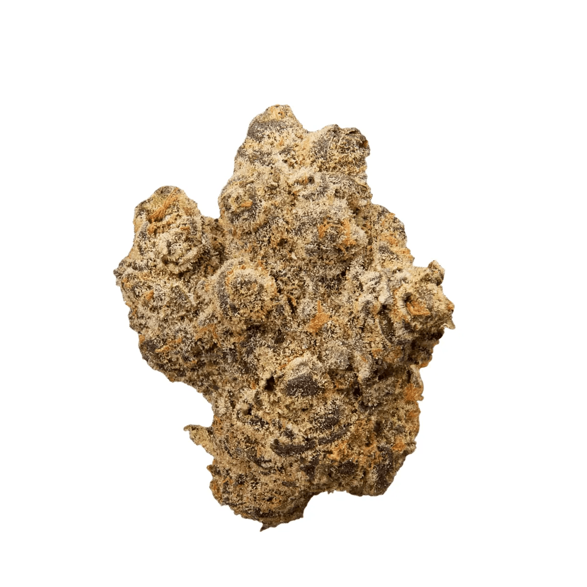 NICE 23/1 GCC Grape Cream Cake