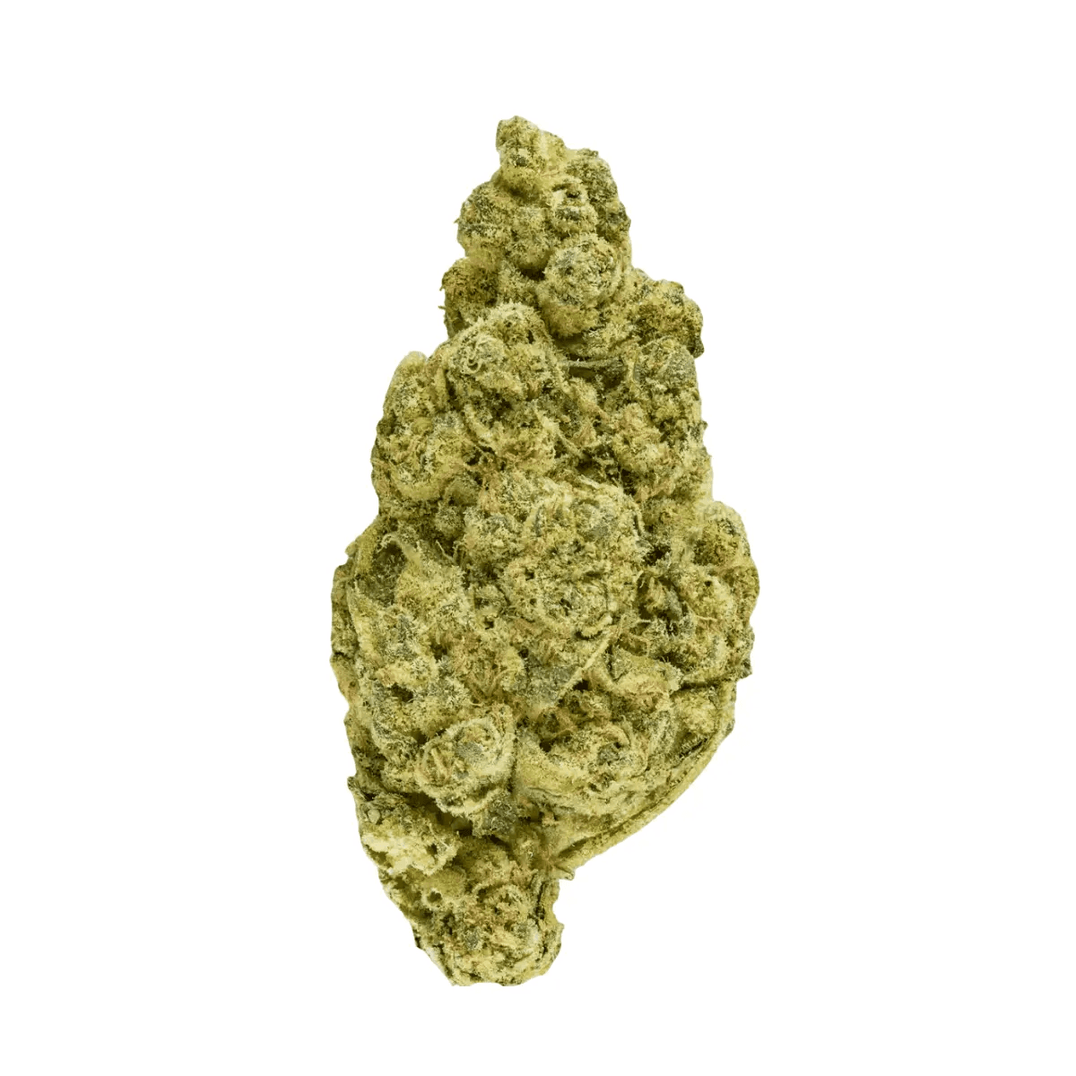 NICE 27/1 TMI Triangle Mints