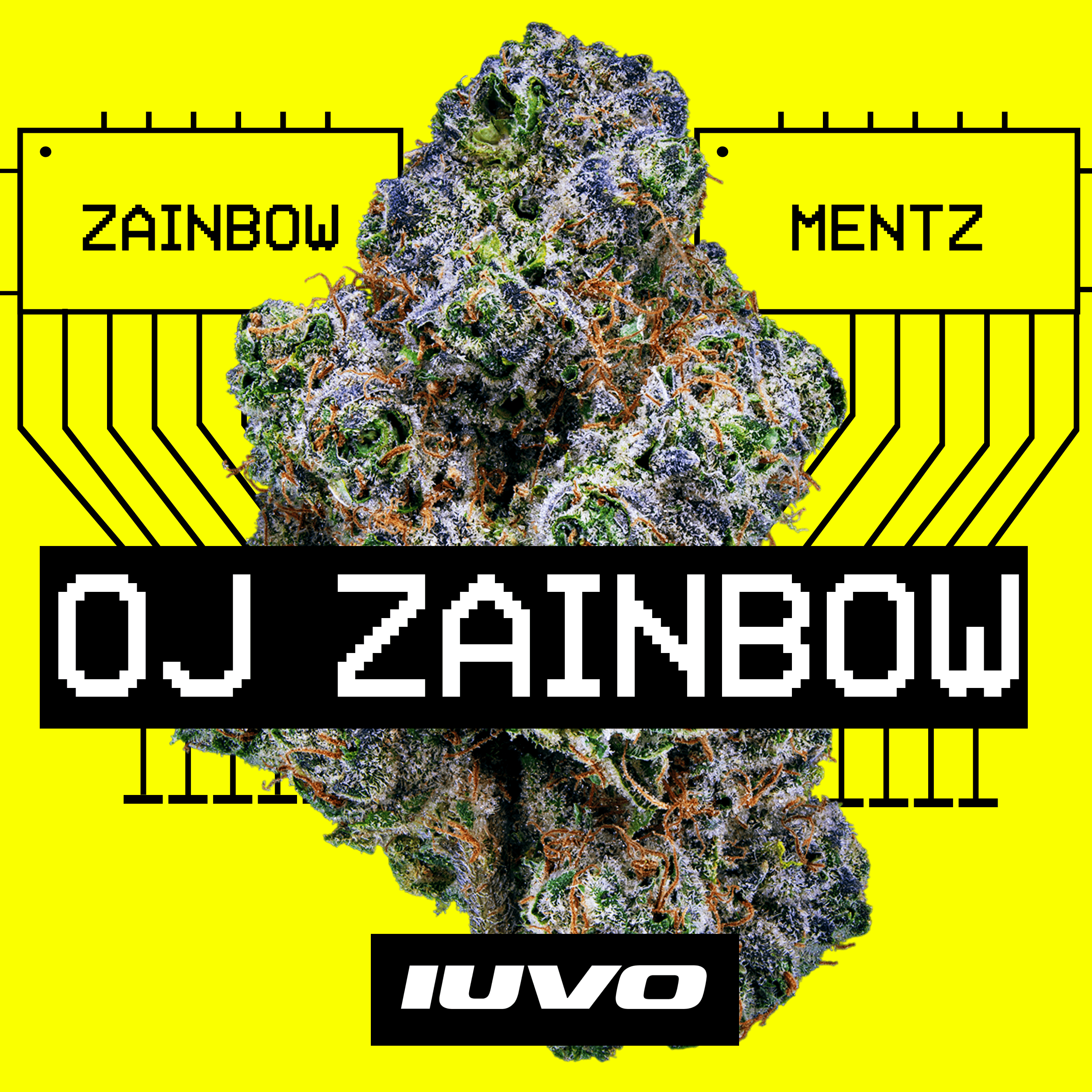 28/1 IUVO KC OJ Zainbow