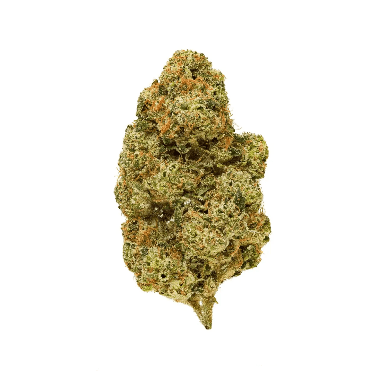 Pedanios 26/1 EHD-CA