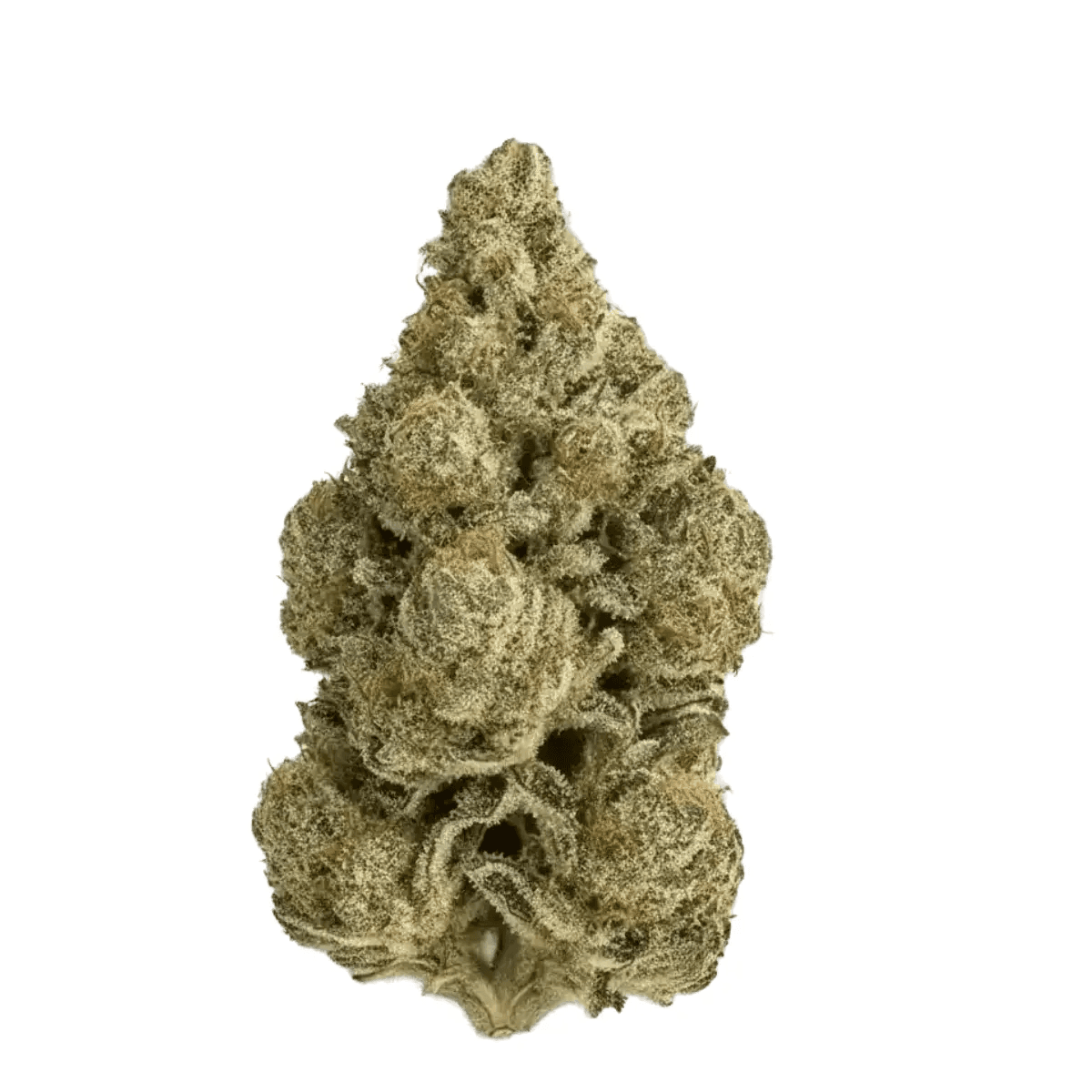 Remexian 24/1 BBR GAS Gas