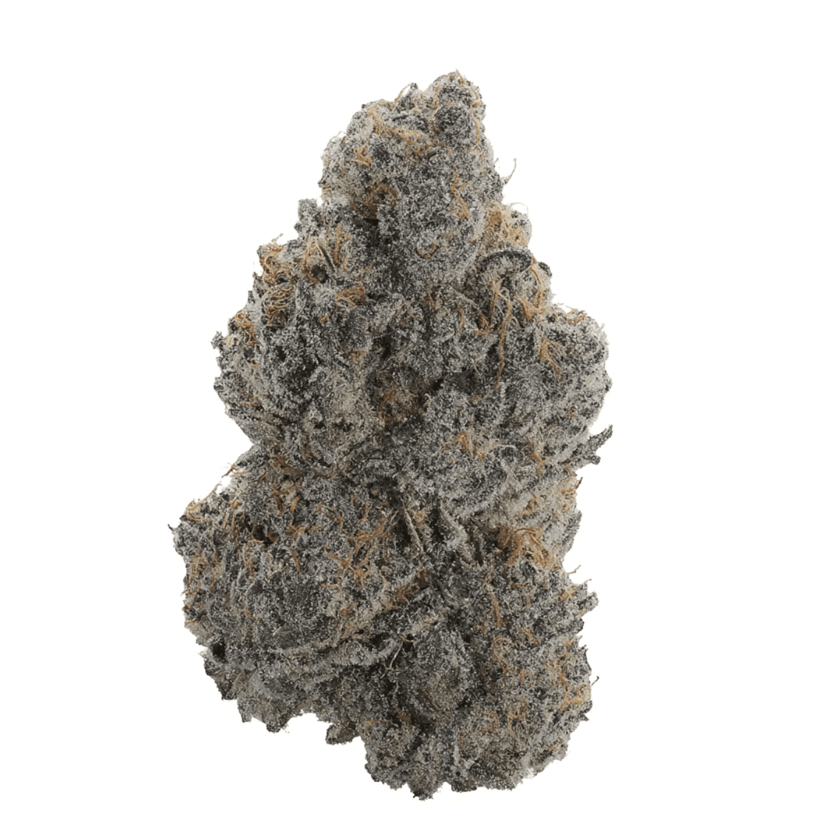 Remexian 24/1 GJY PPH Pink Punch