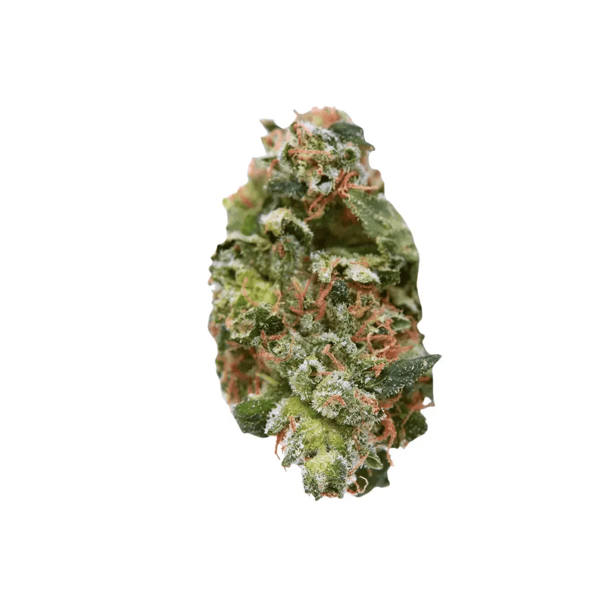 Remexian 27/1 NXN SPZ Spritzer