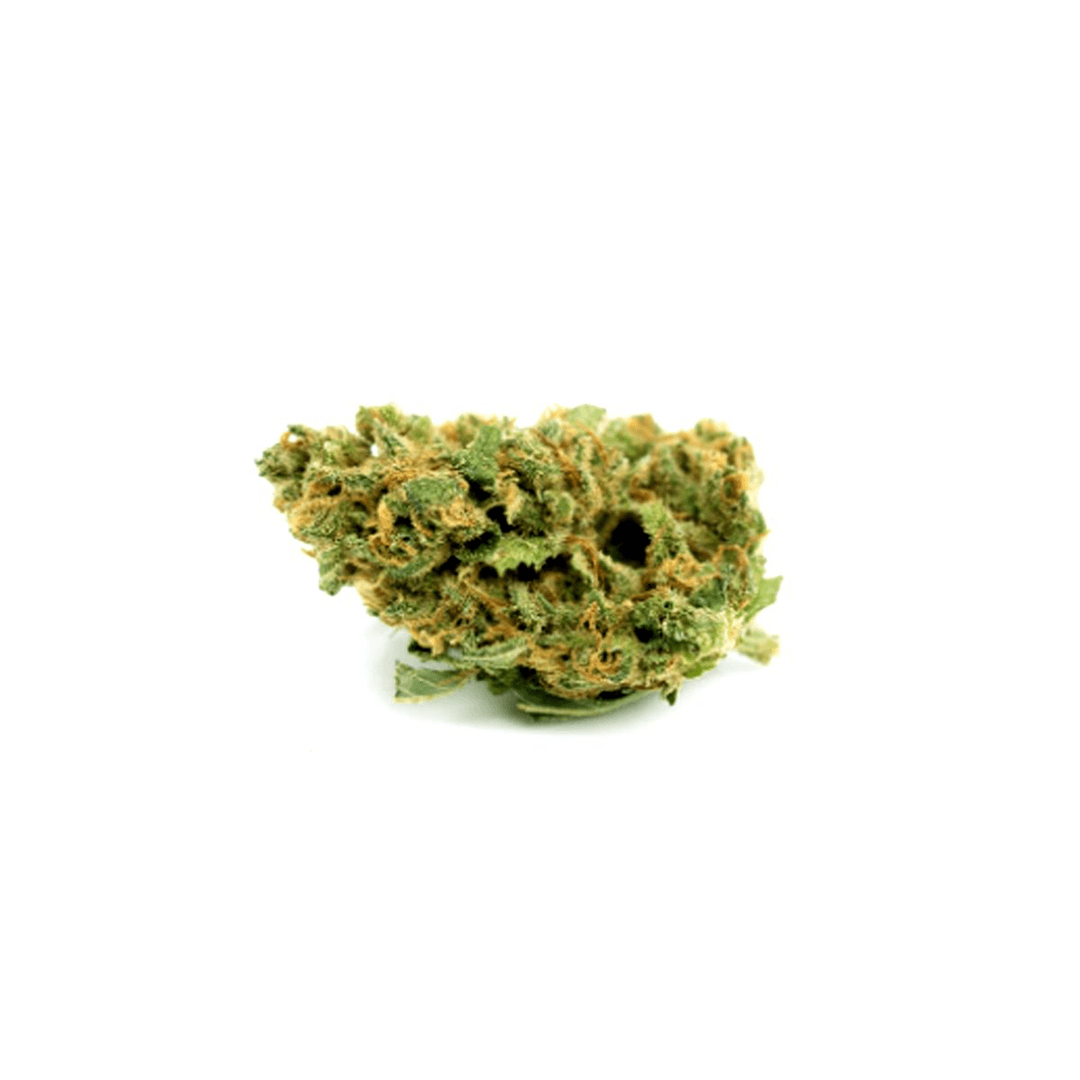 Remexian 14/1 White Widow