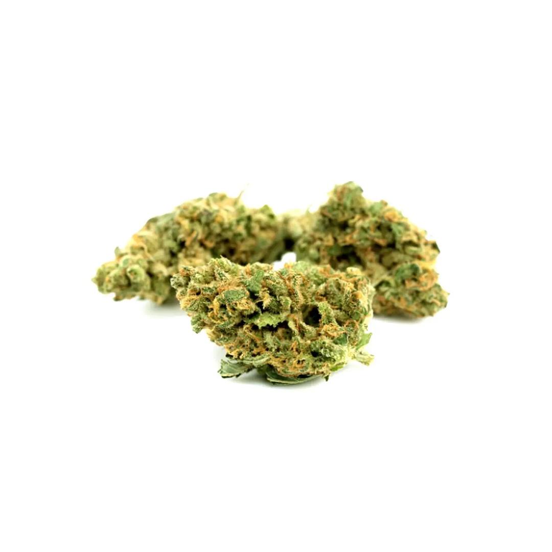 Remexian 16/1 White Widow