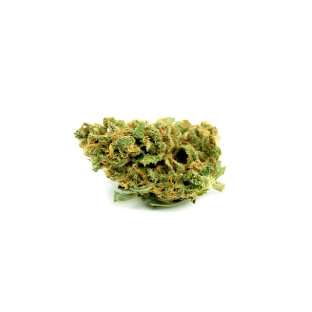 Remexian 18/1 White Widow