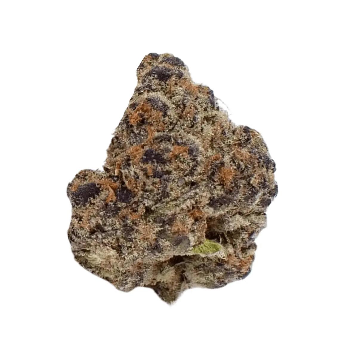 Remexian 27/1 SWV ShockWave