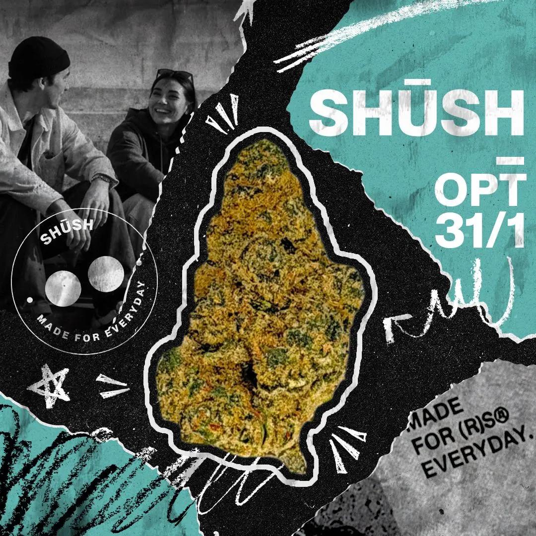 SHÜSH 31/1 OPT Ottopilot