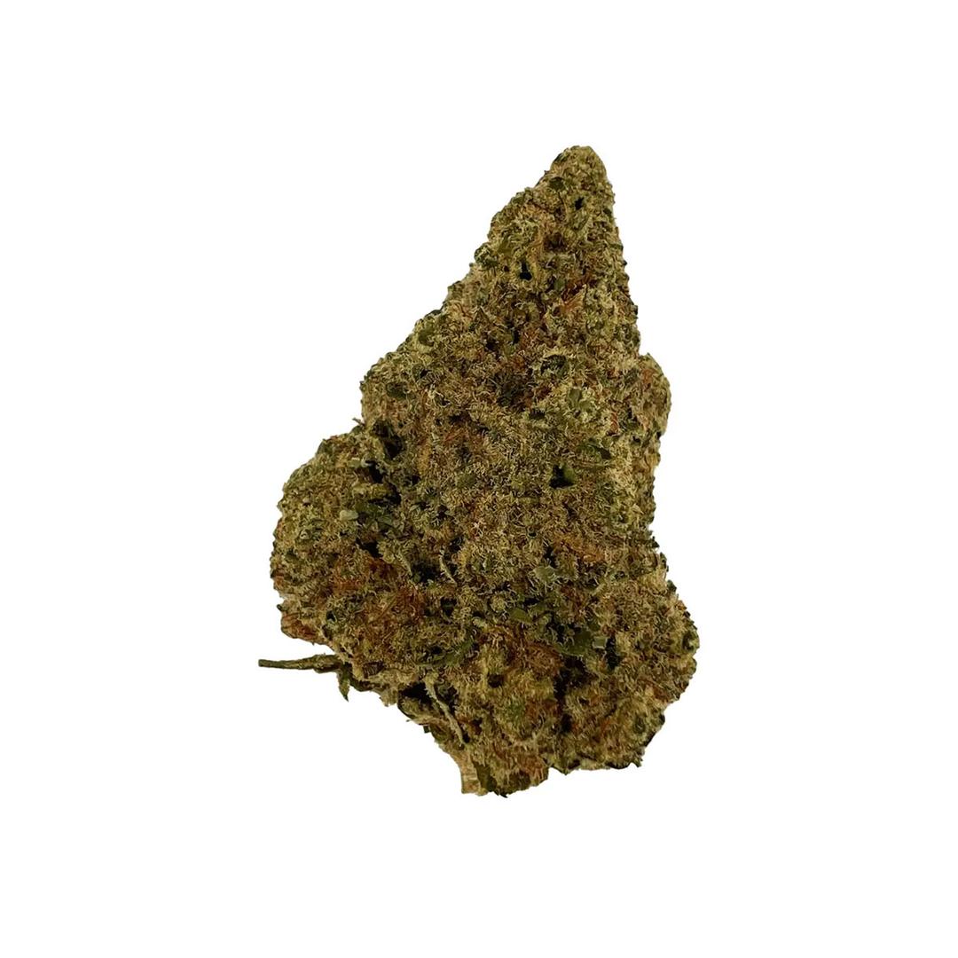 Sibanax MCF 23/1