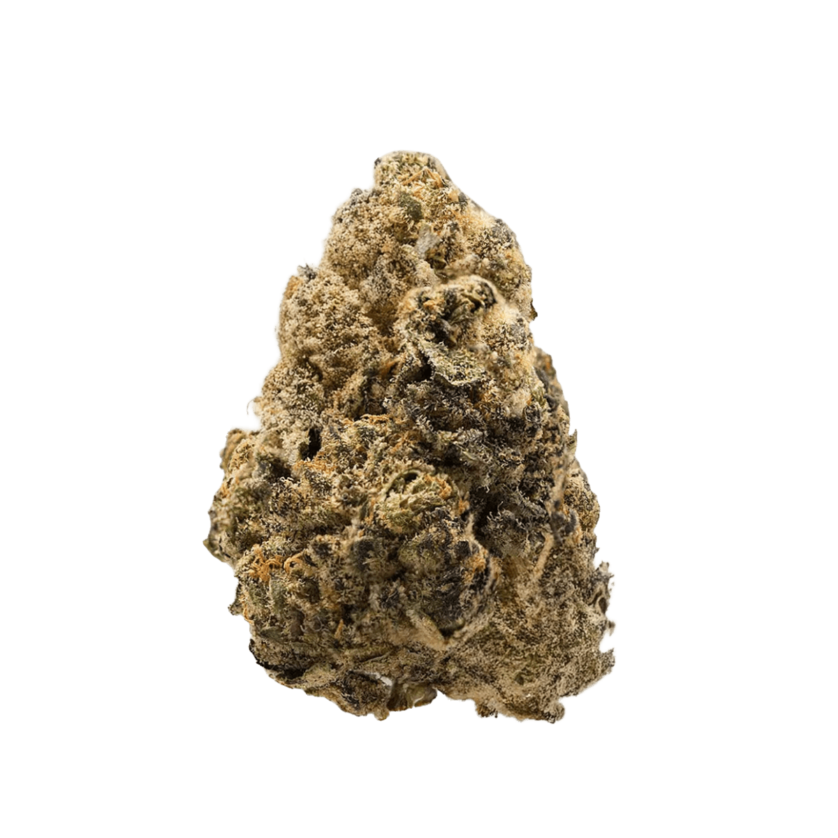 Siggis LWZAHN 22:01 Siggis Löwenzahn