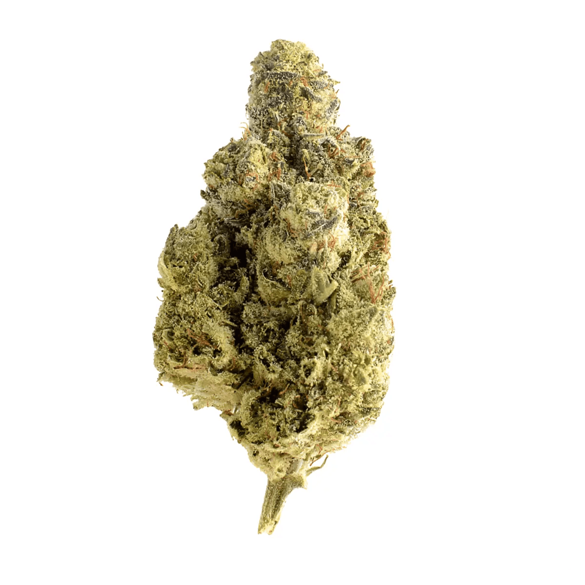 Slouu 22/1 PS3 CA OGK OG Kush