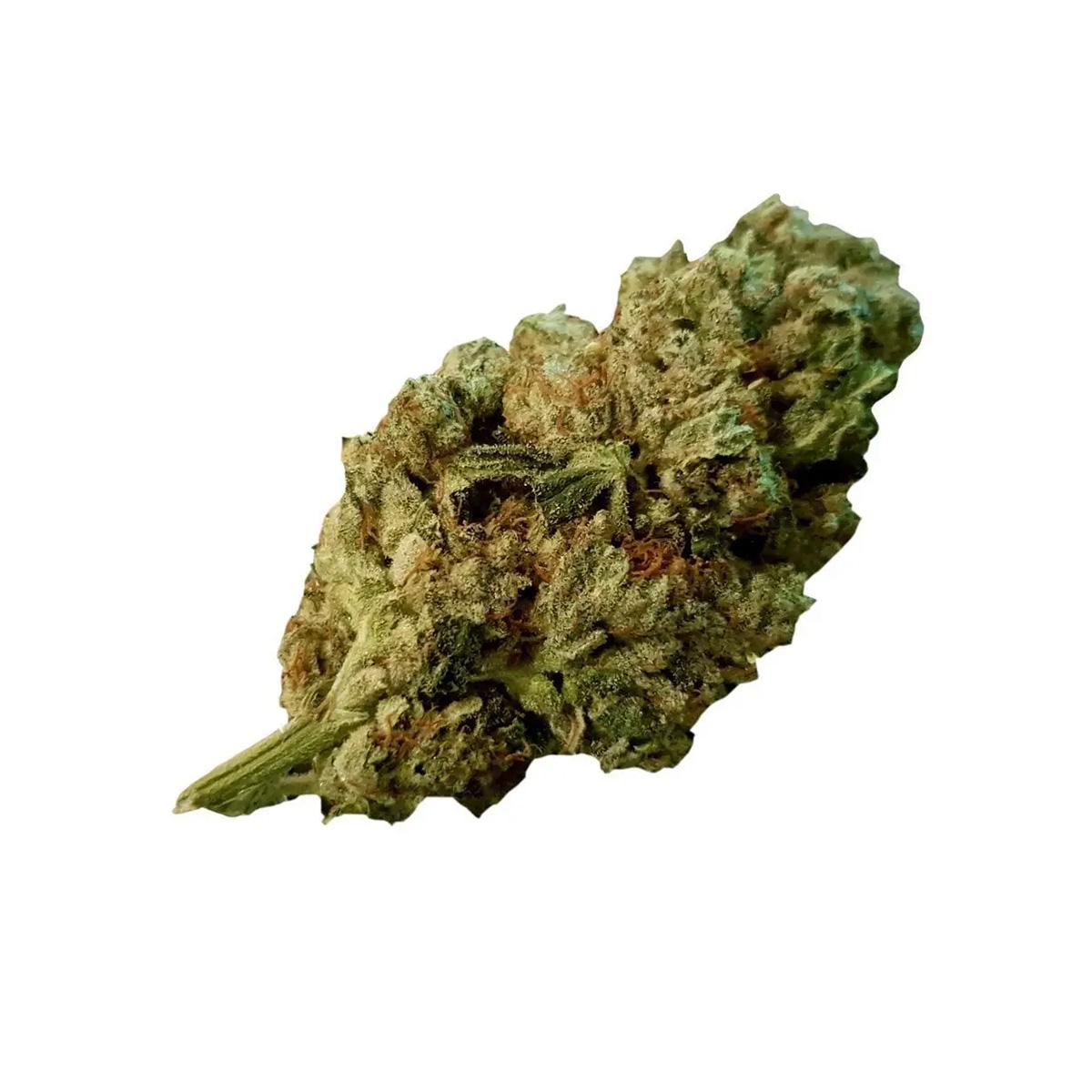 Soma OG 22/1 GG