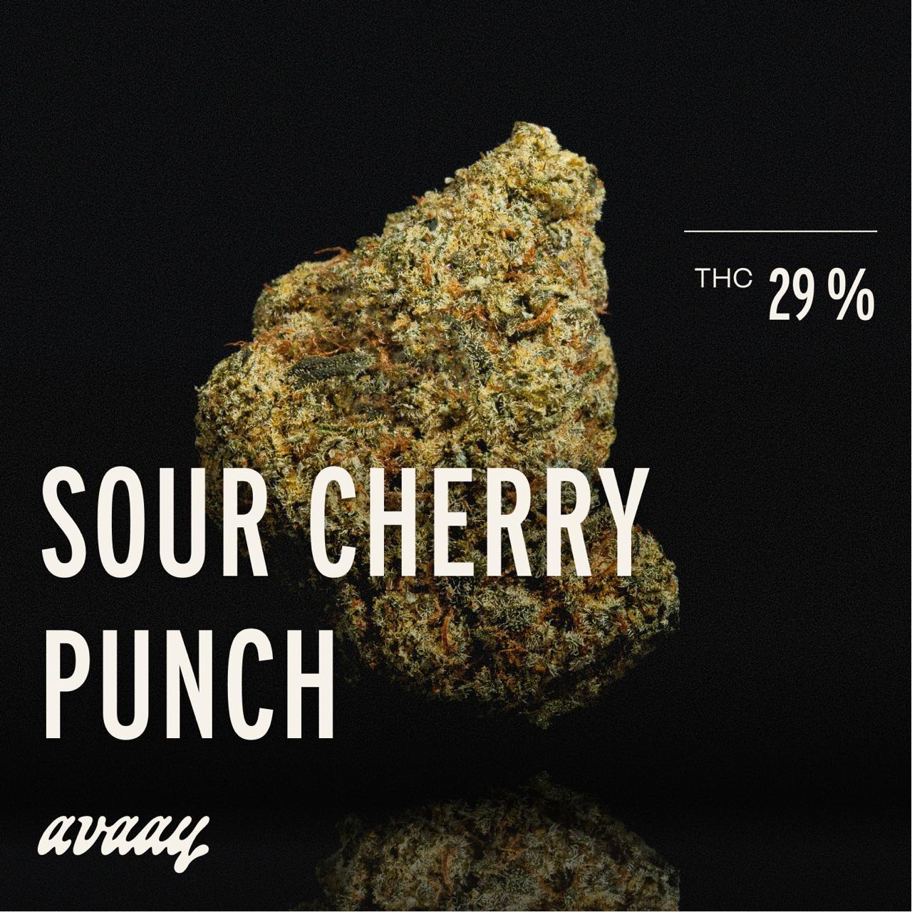 avaay 29/1 SCP Sour Cherry Punch