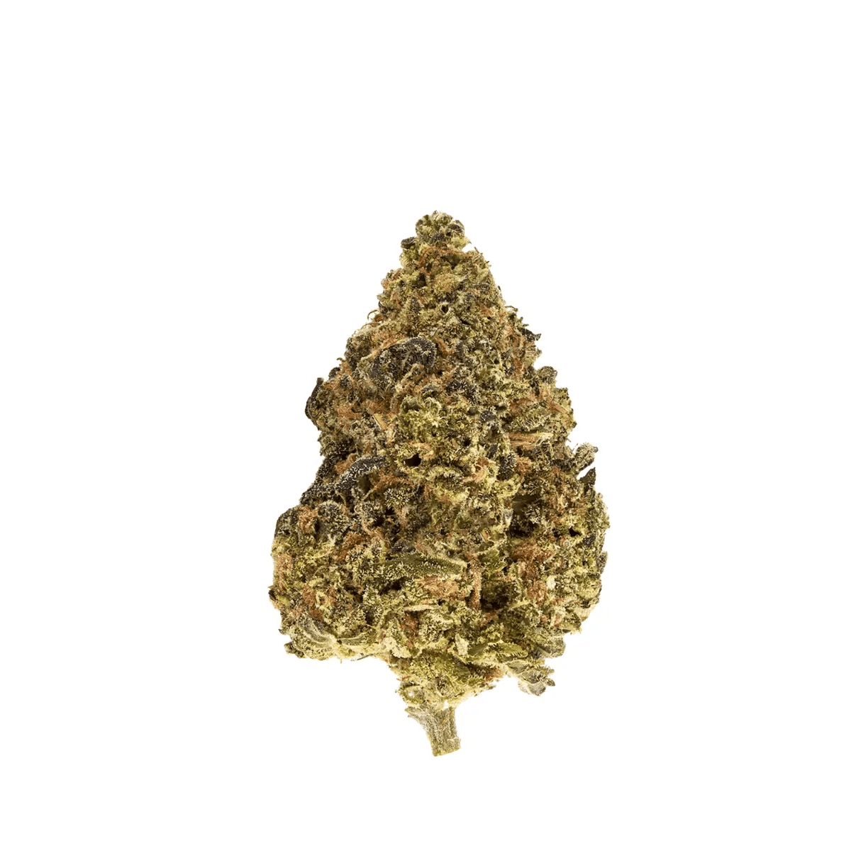 TRUU GT 27/01 Skull Cap