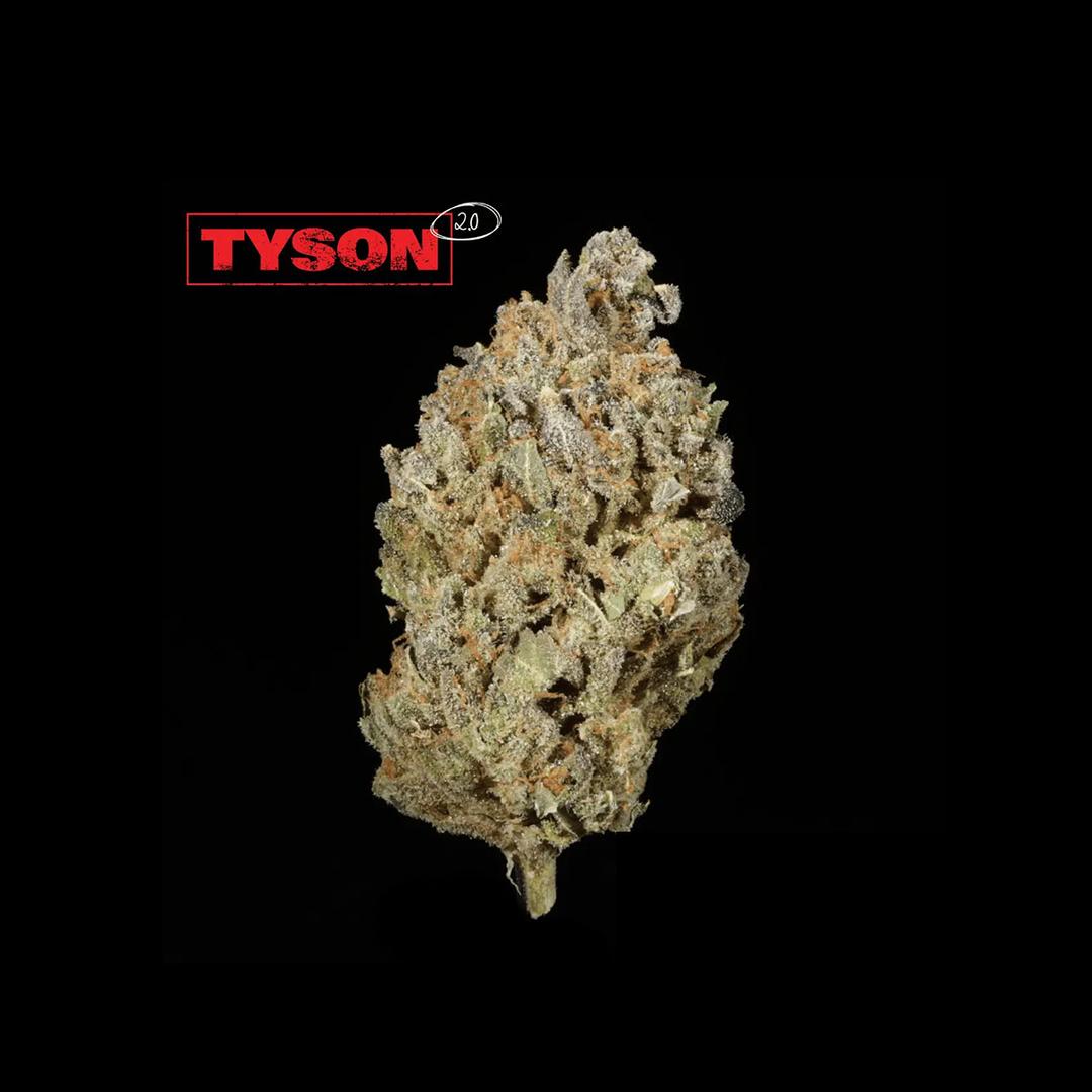 TYSON 2.0 30/1 