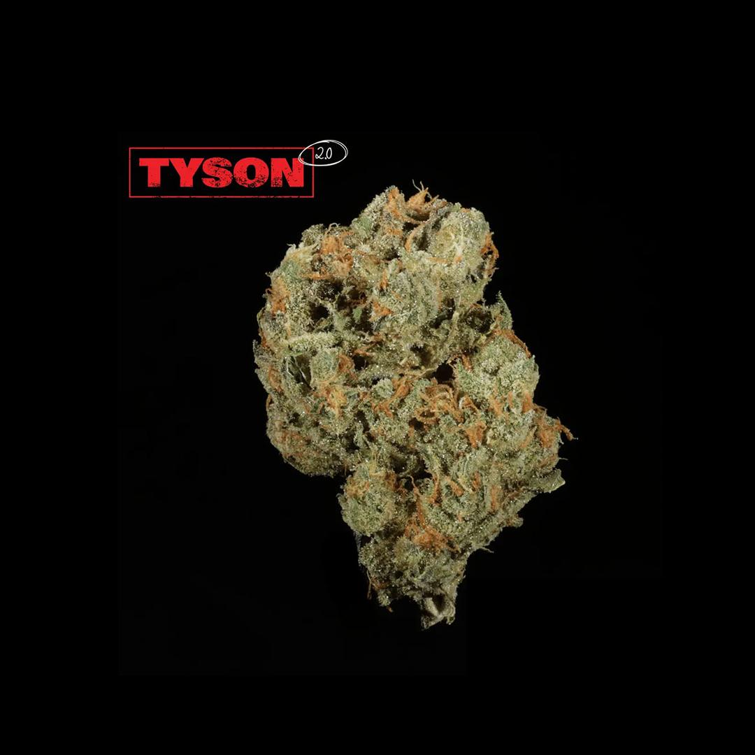 TYSON 2.0 30/1 