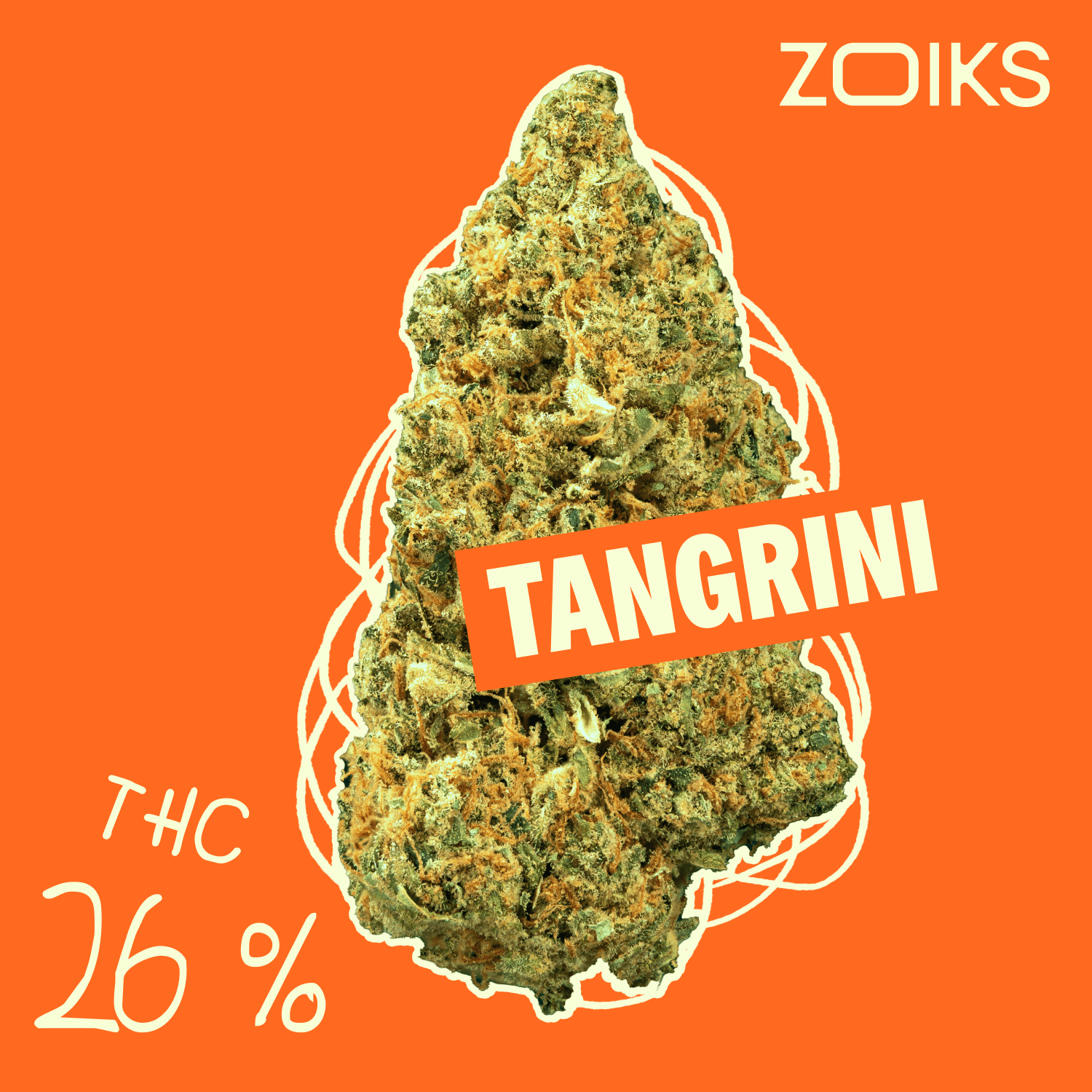 ZOIKS 26/1 TG - Tangrini