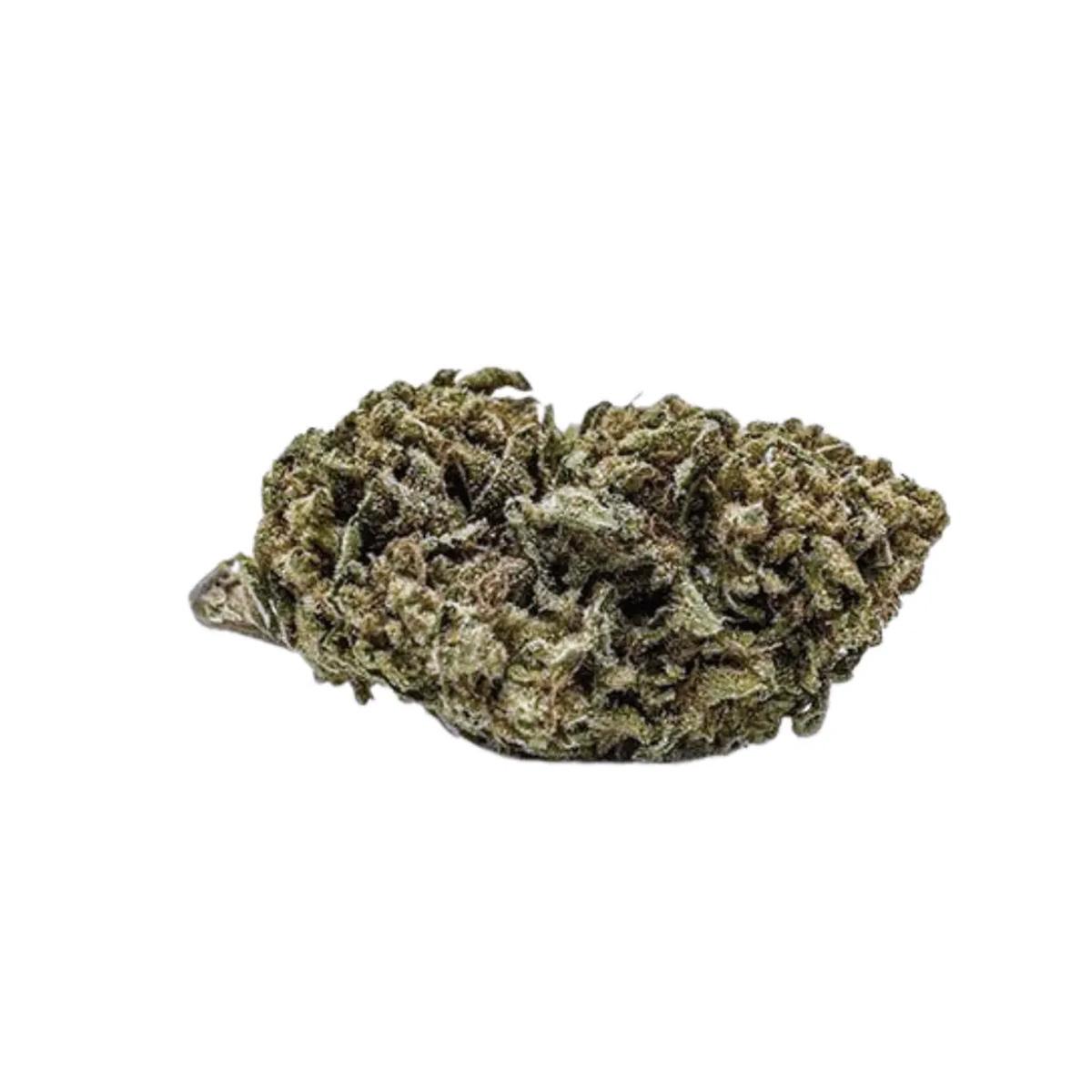 Tweed Balanced 6/8 Caramel