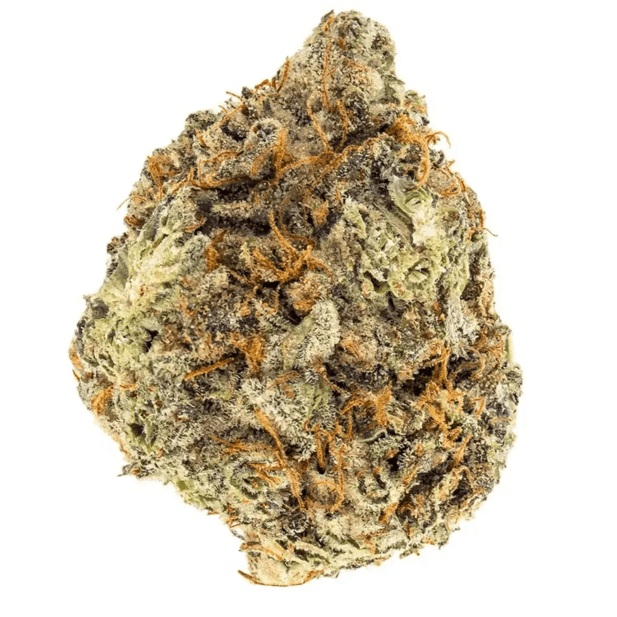 Wellford Aquaponic 26/1 ATG Atlantic Glue