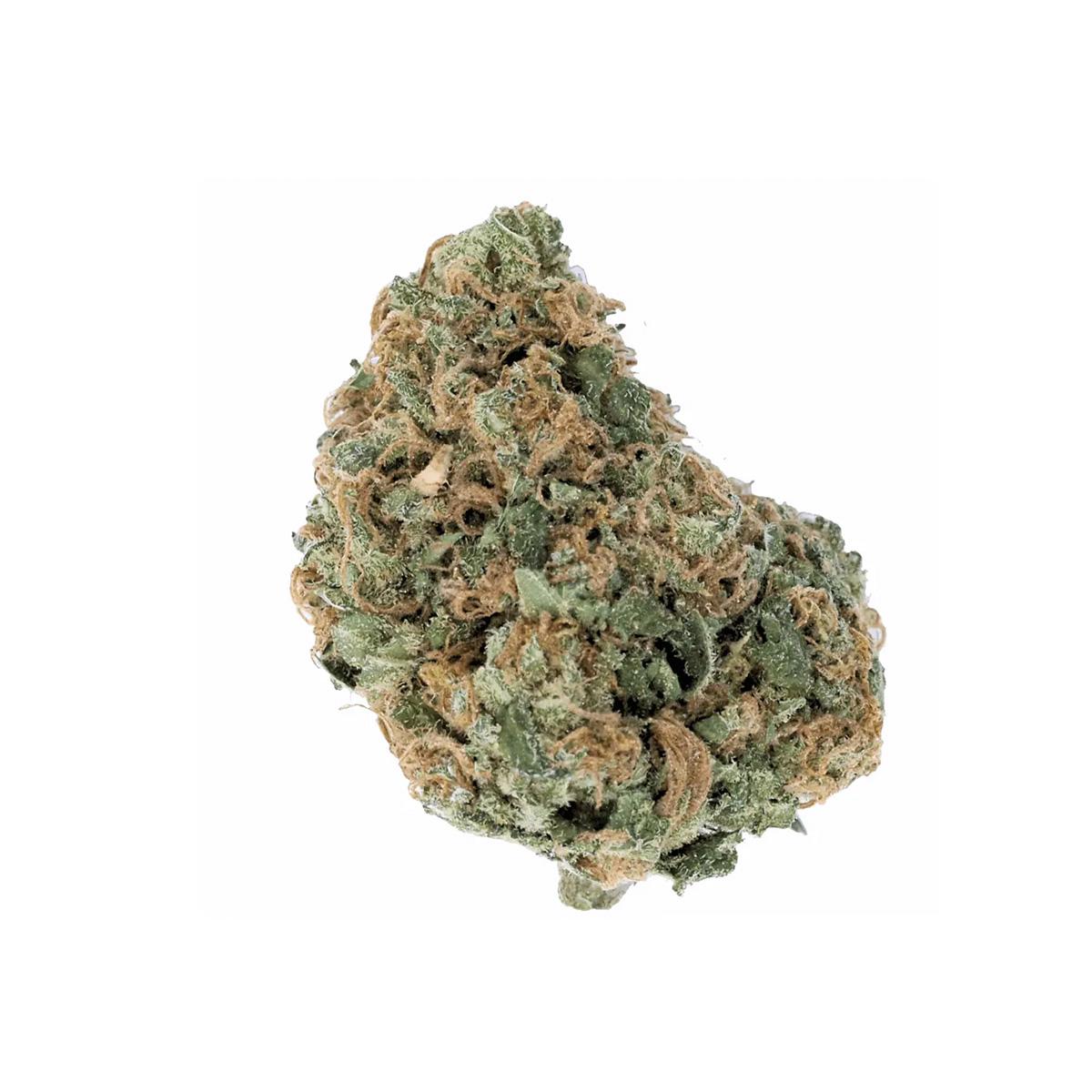 Wellford-23/1-COP