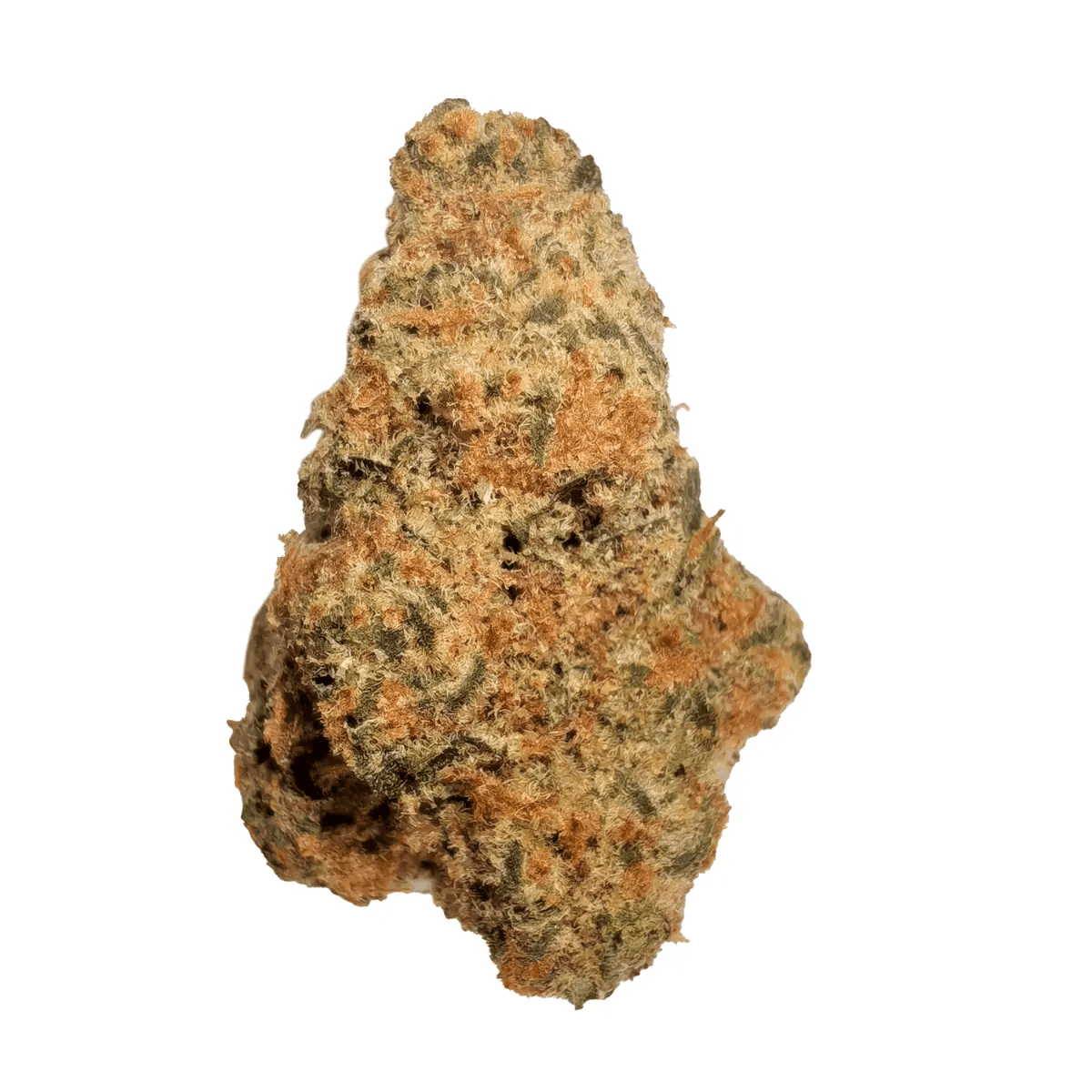 ZOIKS 26/1 GCK GG4 x Critical Kush