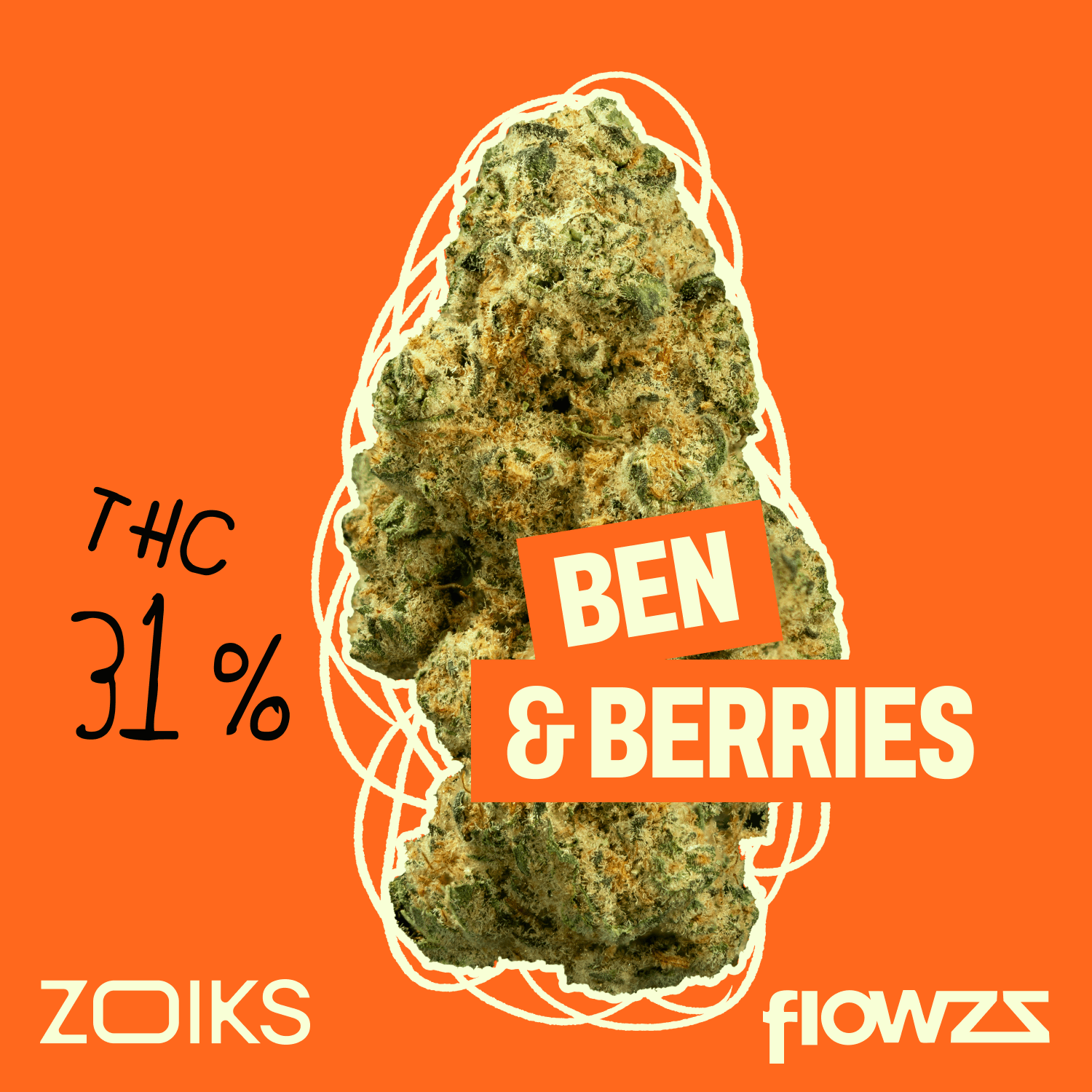 ZOIKS 31/1 BB Ben & Berries