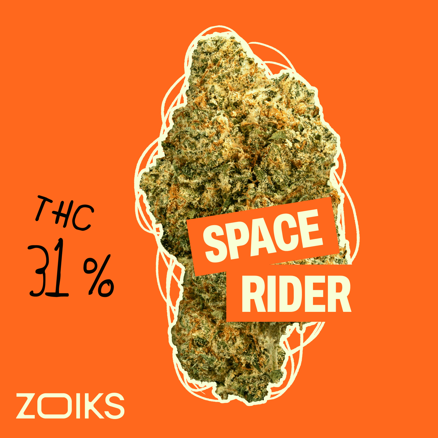 ZOIKS 31/1 SR Space Rider