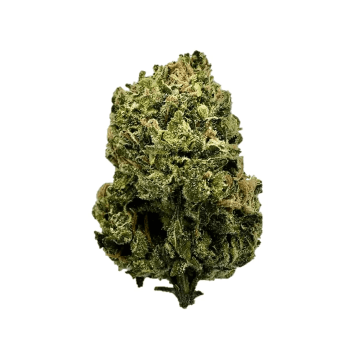 ZOIKS 22/1 SF Sourflare