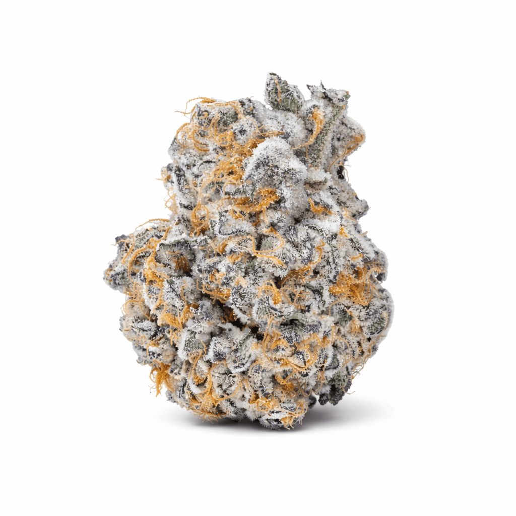 avaay SIGNATURE 23/1 BYY Blueberry Yum Yum