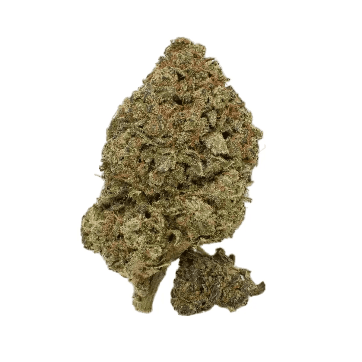 enua 33/1 JGF Jungle Fumes