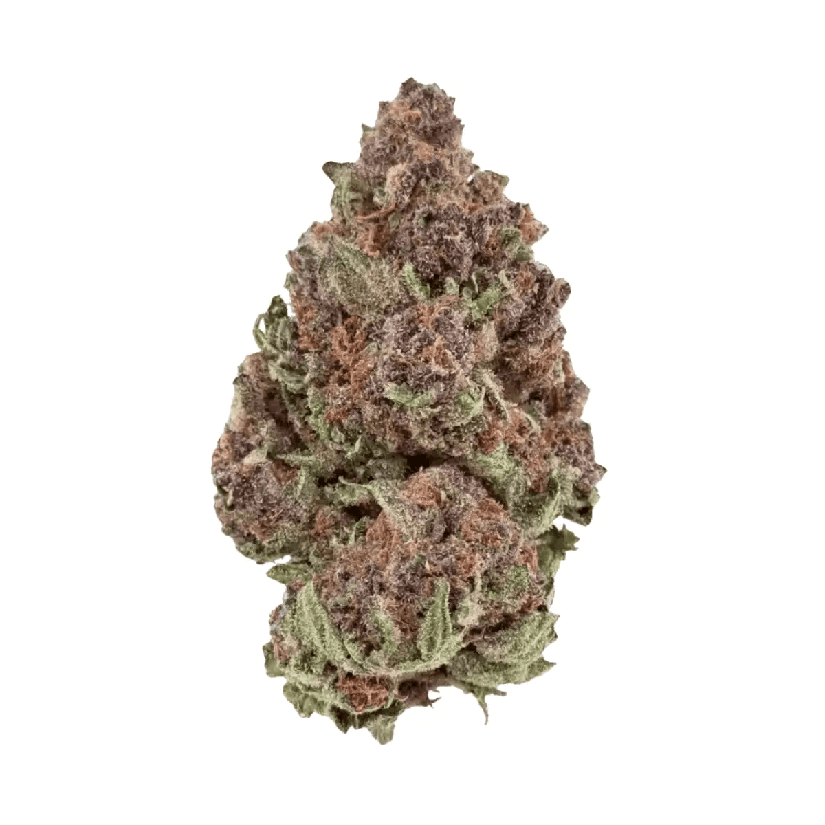 Buuo 22/1 WHG White Gelato