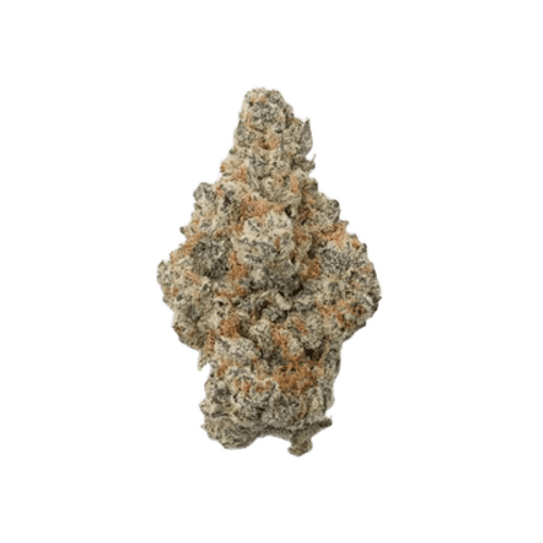 Cannabec Culture 27/1 FTP Fruity Pebbles