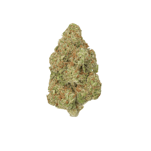 Sumo PAB 25/1 Papaya Bomb
