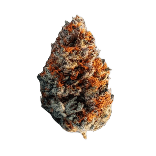 Cannamedical Sativa Ultimate NM Blue Lavender