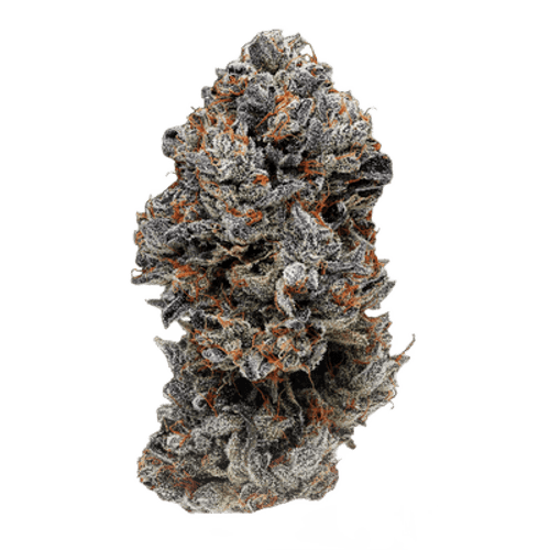 Slouu 30/1 COZ CA Cookies OZ