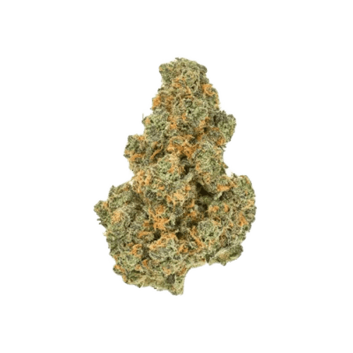 Pedanios 29/1 PND-CA Pink Diesel