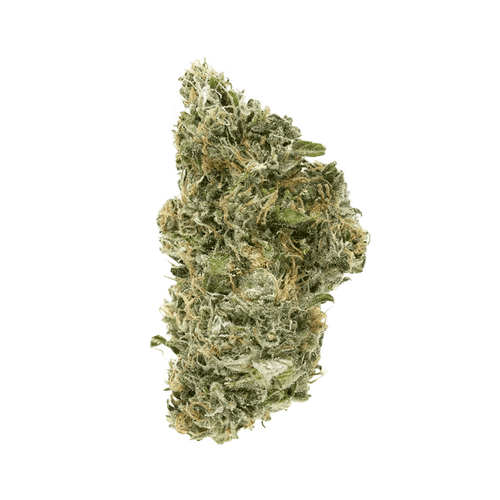 WEECO Vasco 18/1 Skunk Widow