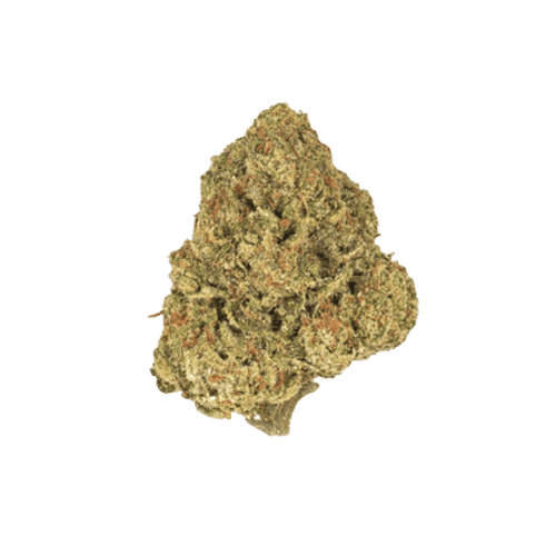 Abby Leaf 27/1 CTL Cactus Licker