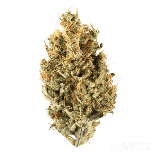 Demecan Core OG 21:01 OG Kush