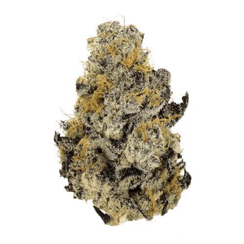 Kush Collective 30/1 LPP Lemon Pepper Punch