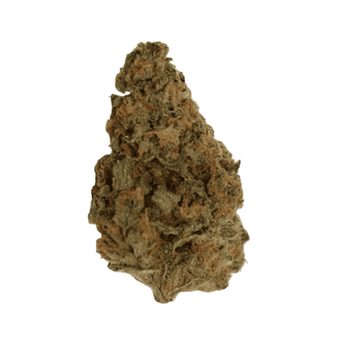 SEVEN ALLEGRO 24/1 Super Lemon Haze