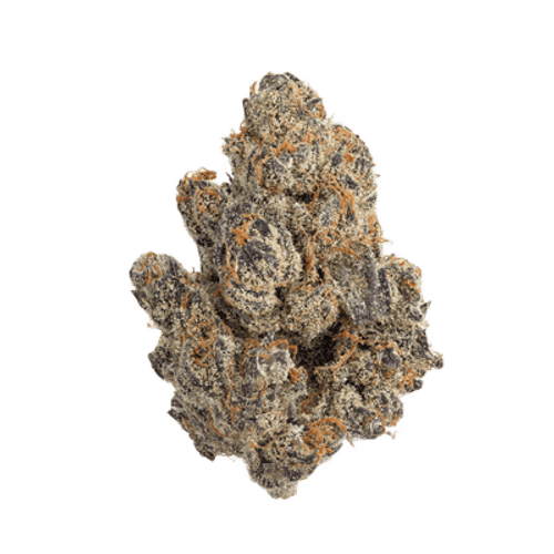 NICE 28/1 LPP Lavender x Power Plant